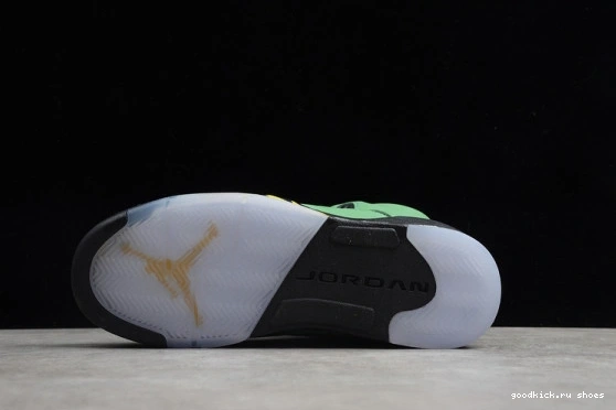 5 SE CK6631-307 OREGON AIR CK6631-307 JORDAN RETRO 0301